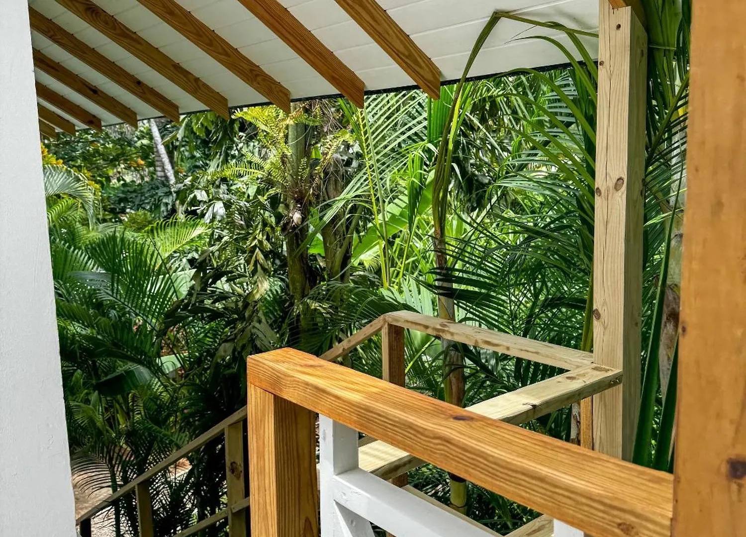 El Mosquito Boutique Hotel Playa Bonita Las Terrenas 2*,