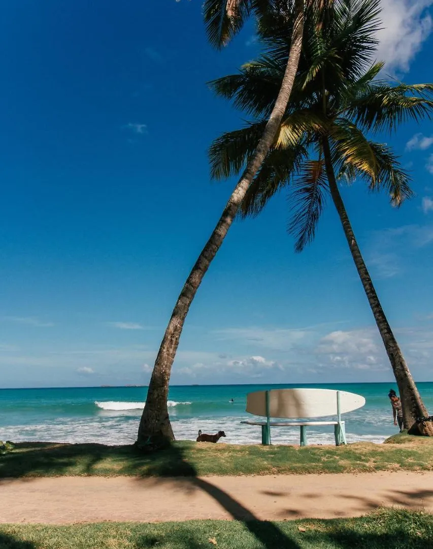 El Mosquito Boutique Hotel Playa Bonita Las Terrenas