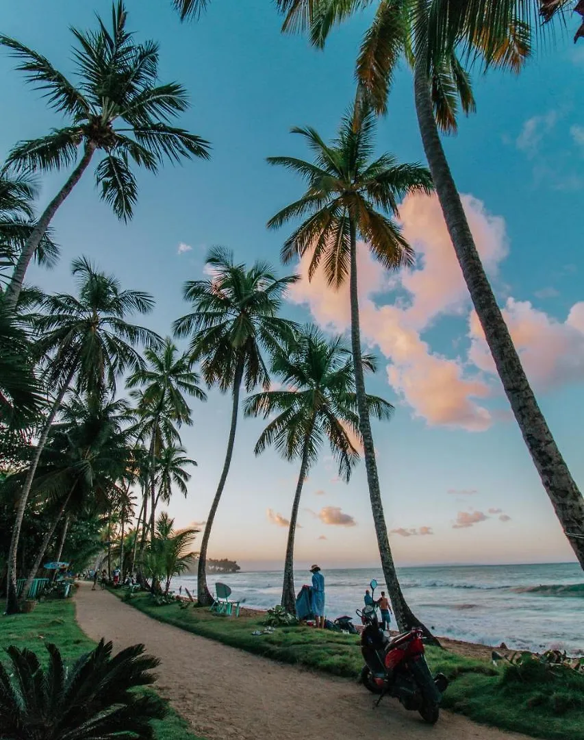 El Mosquito Boutique Hotel Playa Bonita Las Terrenas Dominik Cumhuriyeti