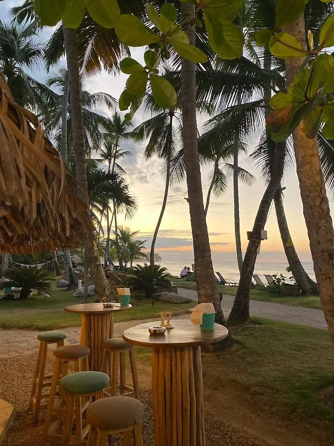 El Mosquito Boutique Hotel Playa Bonita Las Terrenas República Dominicana