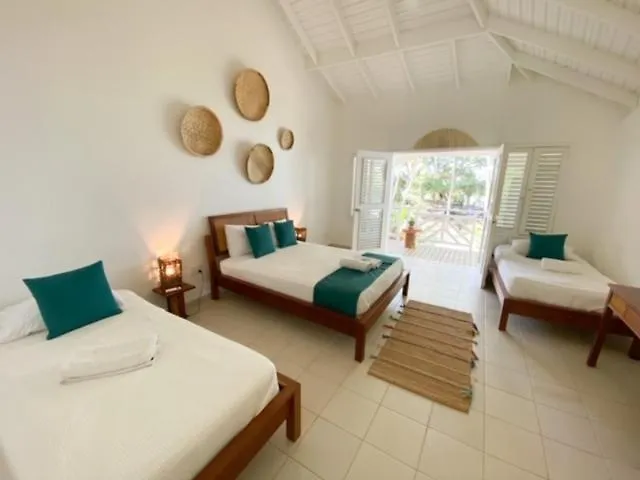 El Mosquito Boutique Hotel Playa Bonita Las Terrenas 2*,